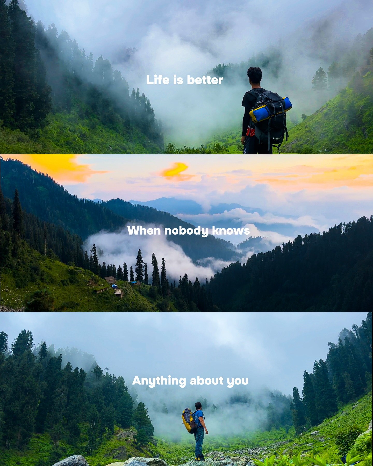 Life Explore