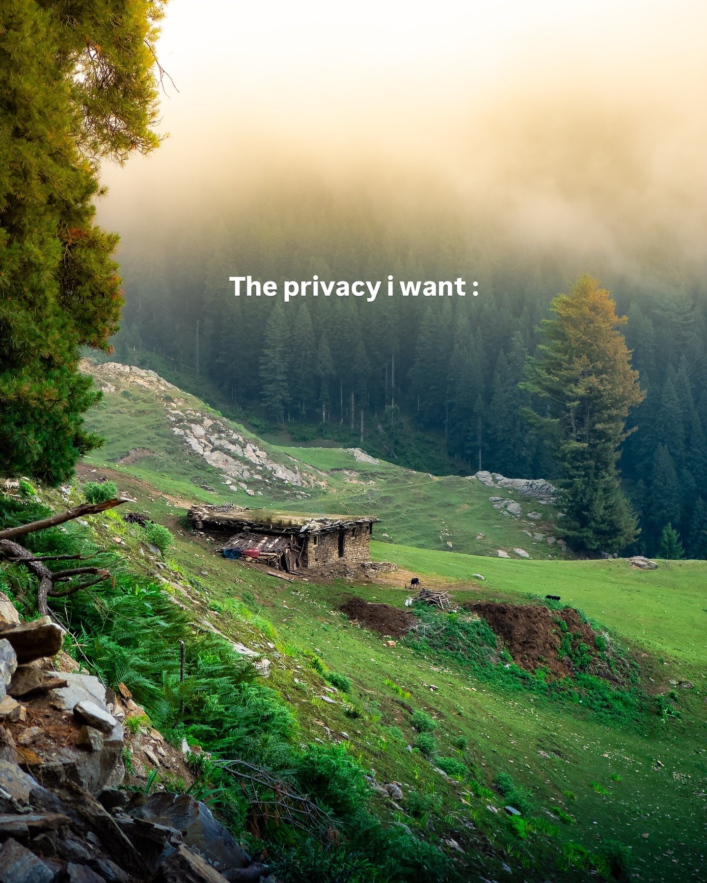 Privacy
